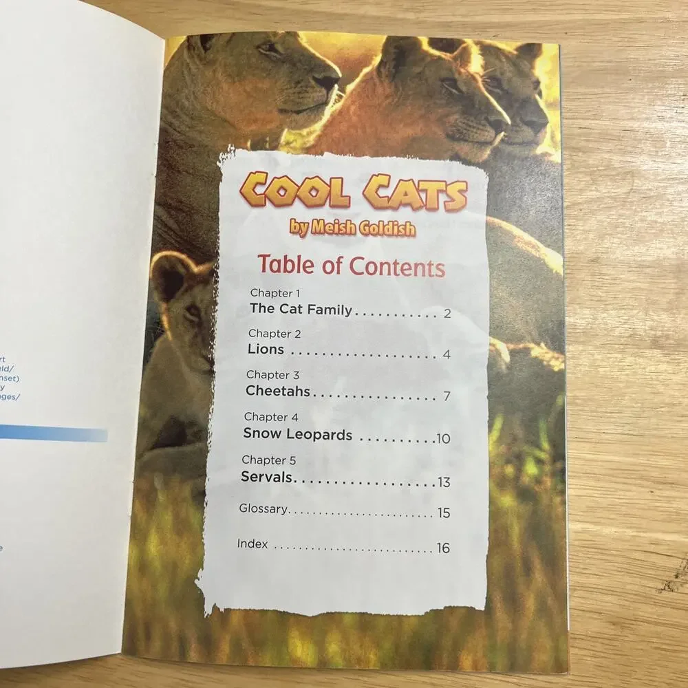 Cool Cats Air Pollution Bad Weather Macmillan McGraw hill Leveled Reader Library